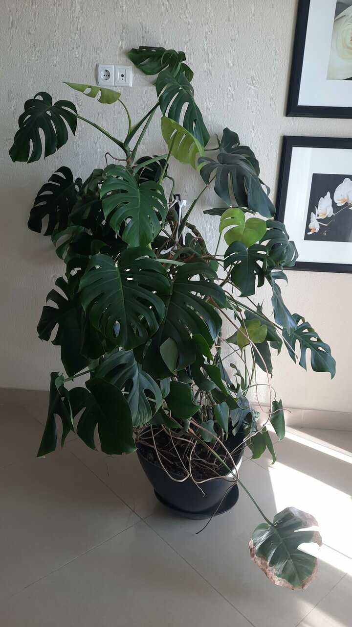 Гостиница Армавир Армавир-62