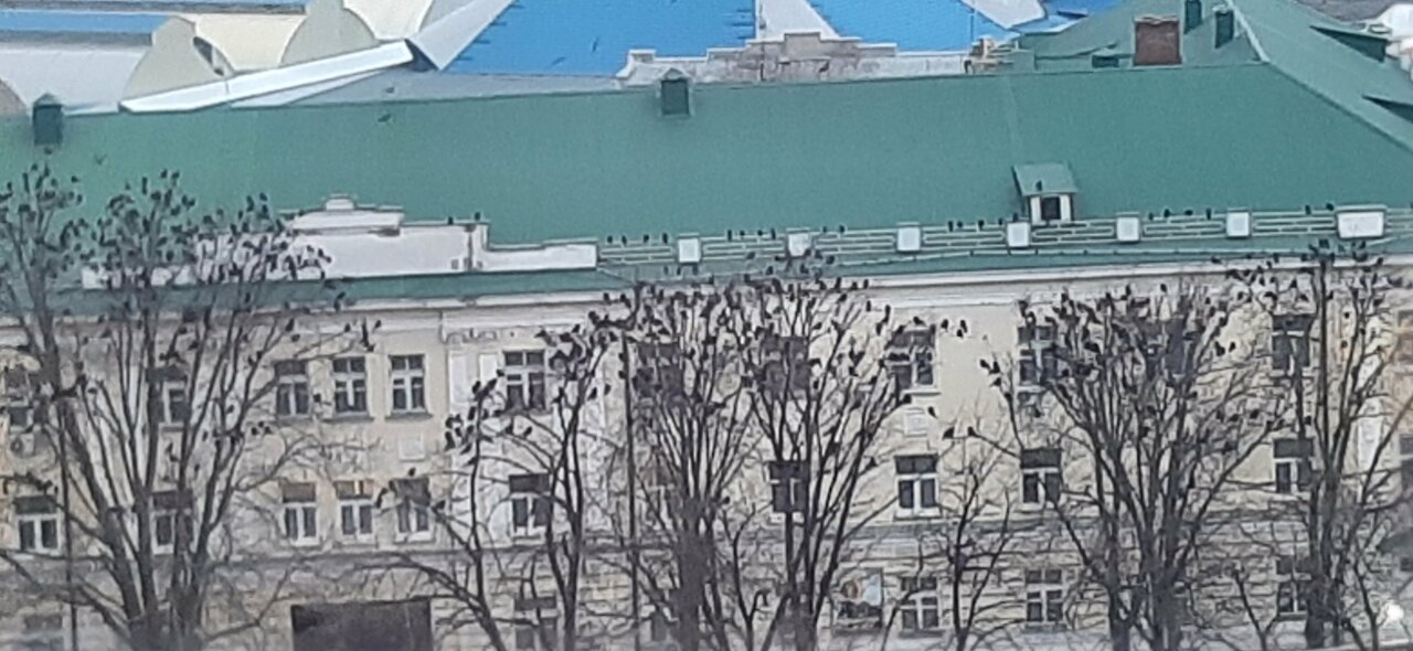 Гостиница Армавир Армавир-174