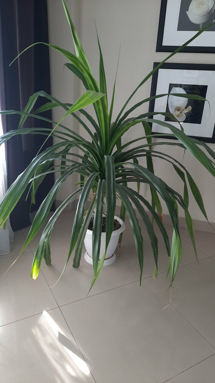 Гостиница Армавир Армавир