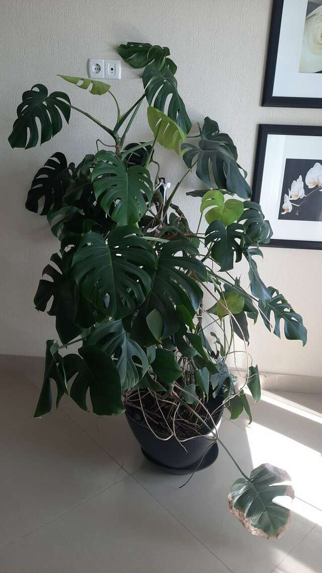 Гостиница Армавир Армавир-61