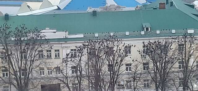 Гостиница Армавир Армавир-173