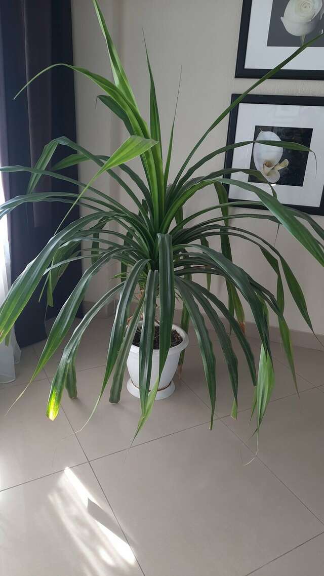 Гостиница Армавир Армавир-69